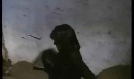 نيكا فلم سحاق مصري 014