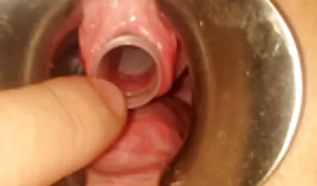 المنزل الفتيات سيئة افلام سكس مصرى بورنو