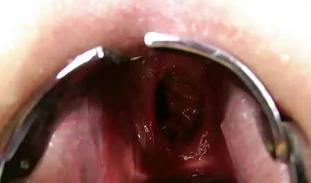 الثدي كبيرة الثدي سكس بنت بنوت مصرى