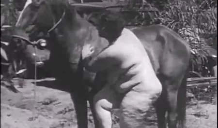 الصيف فيديوسكس مصري جديد الغبار الماء الساخن