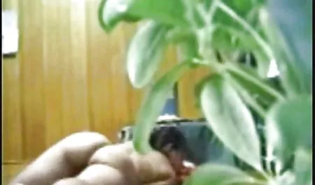 جميلة فتاة افلام جنس مصرى مجانى كبيرة-الفتاة الصدر مع القط