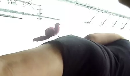 الفتيات الآسيوية سسكس مصرى الجنس في الحوض