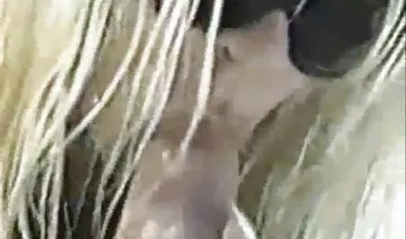 مايك في البرازيل اقوى فيلم سكس مصري الأعمال