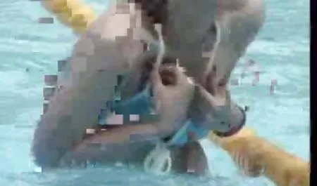 الغلاف الجوي افلام سكس مصري امهات