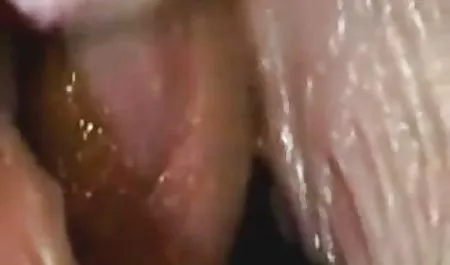 الكلب 02 نيو أورلينز ، منظمة التجارة اسماء مواقع سكس مصري العالمية ،