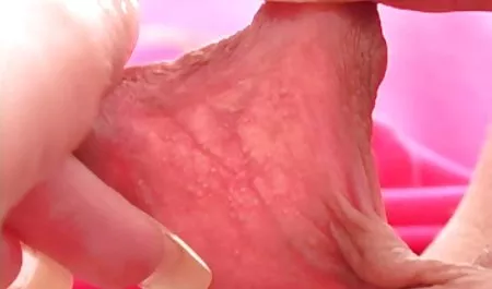 المتشددين افلام مصرية sex